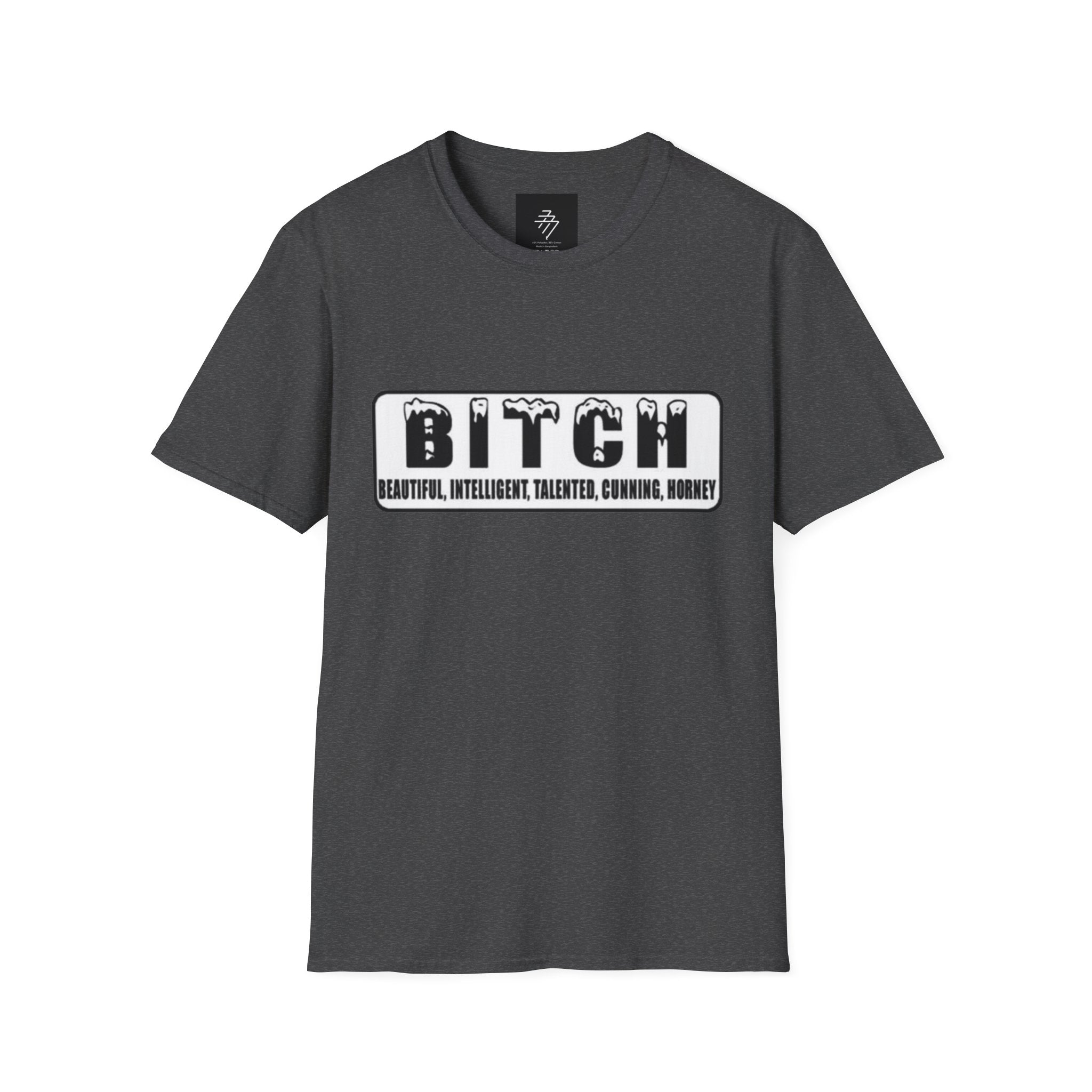 Bitch definition graphic T-Shirt | Bold Lettering Tee