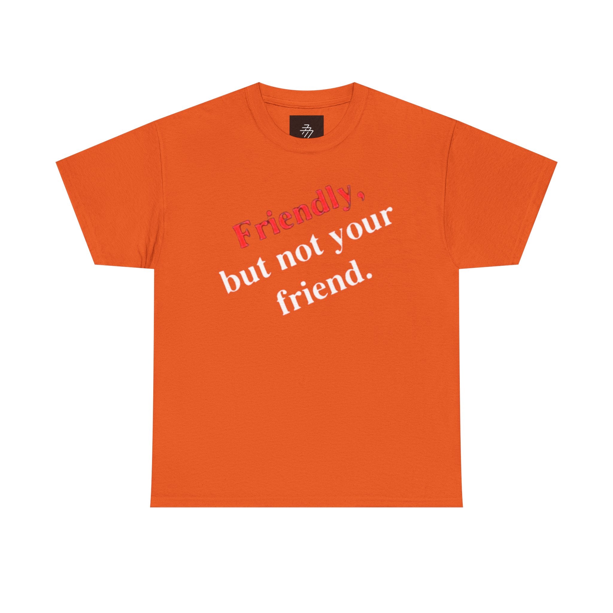 Friendly But Not Your Friend Tee — Sassy Statement Graphic T-Shirt