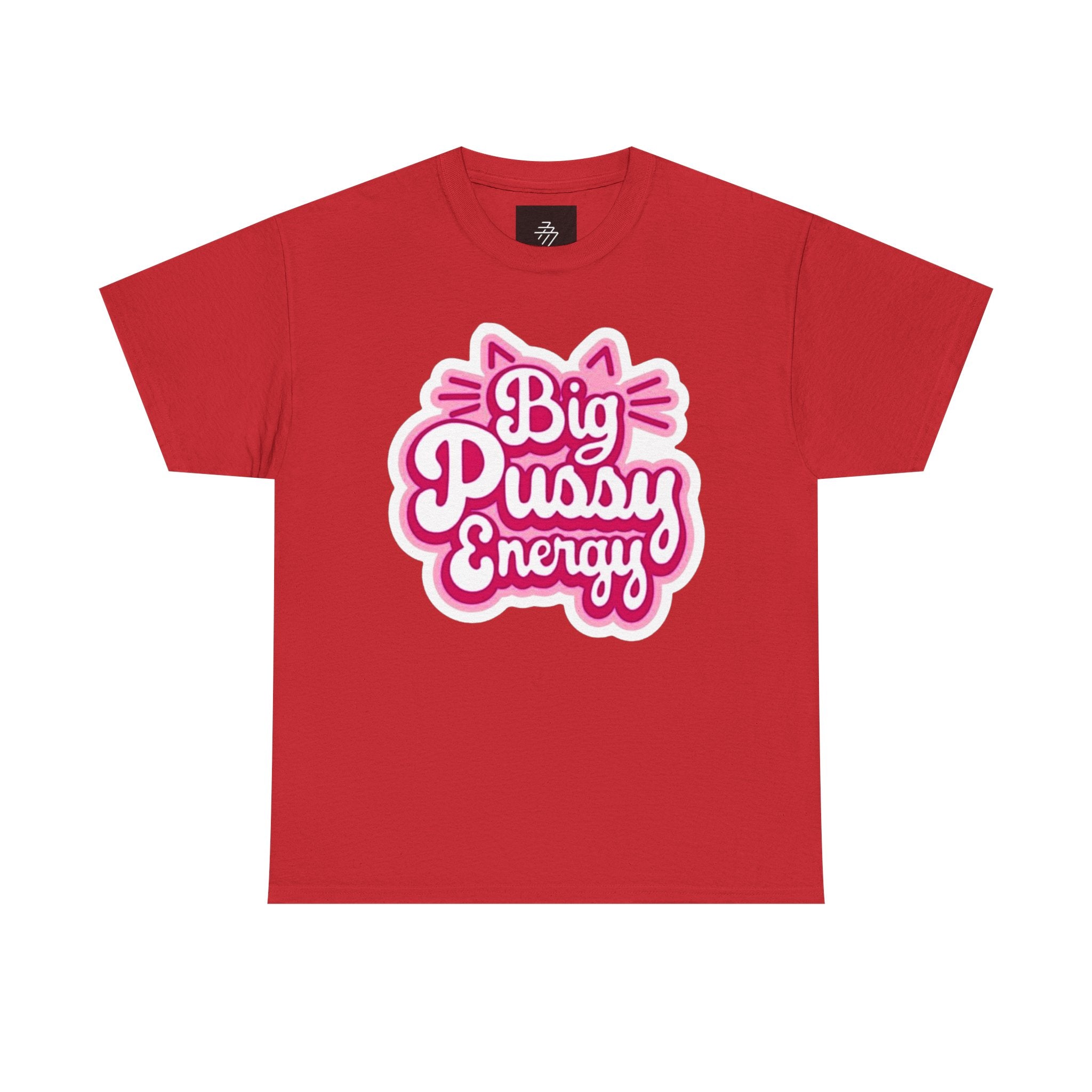 Big Pussy Energy T-Shirt | Cat Ears Script Graphic