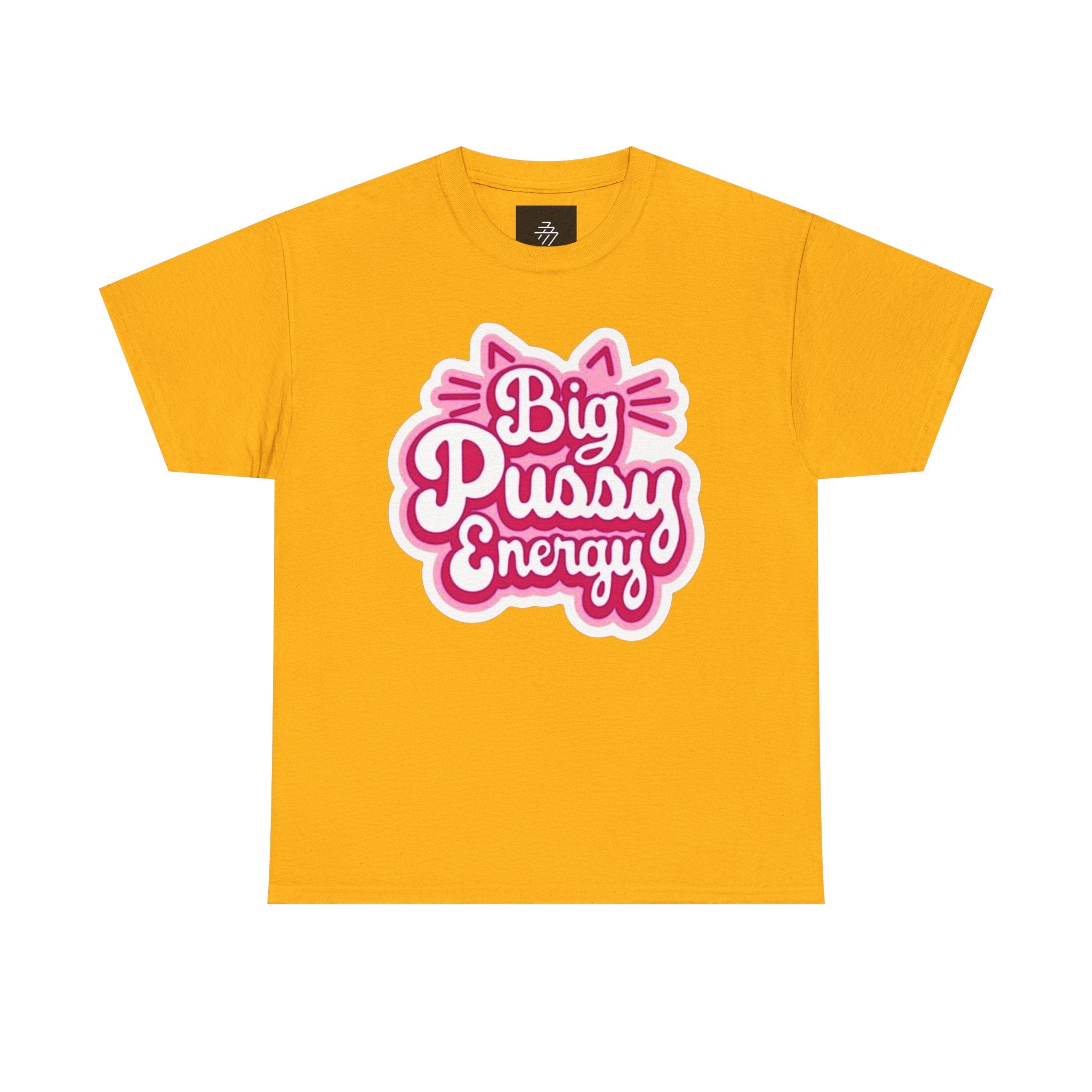 Big Pussy Energy T-Shirt | Cat Ears Script Graphic